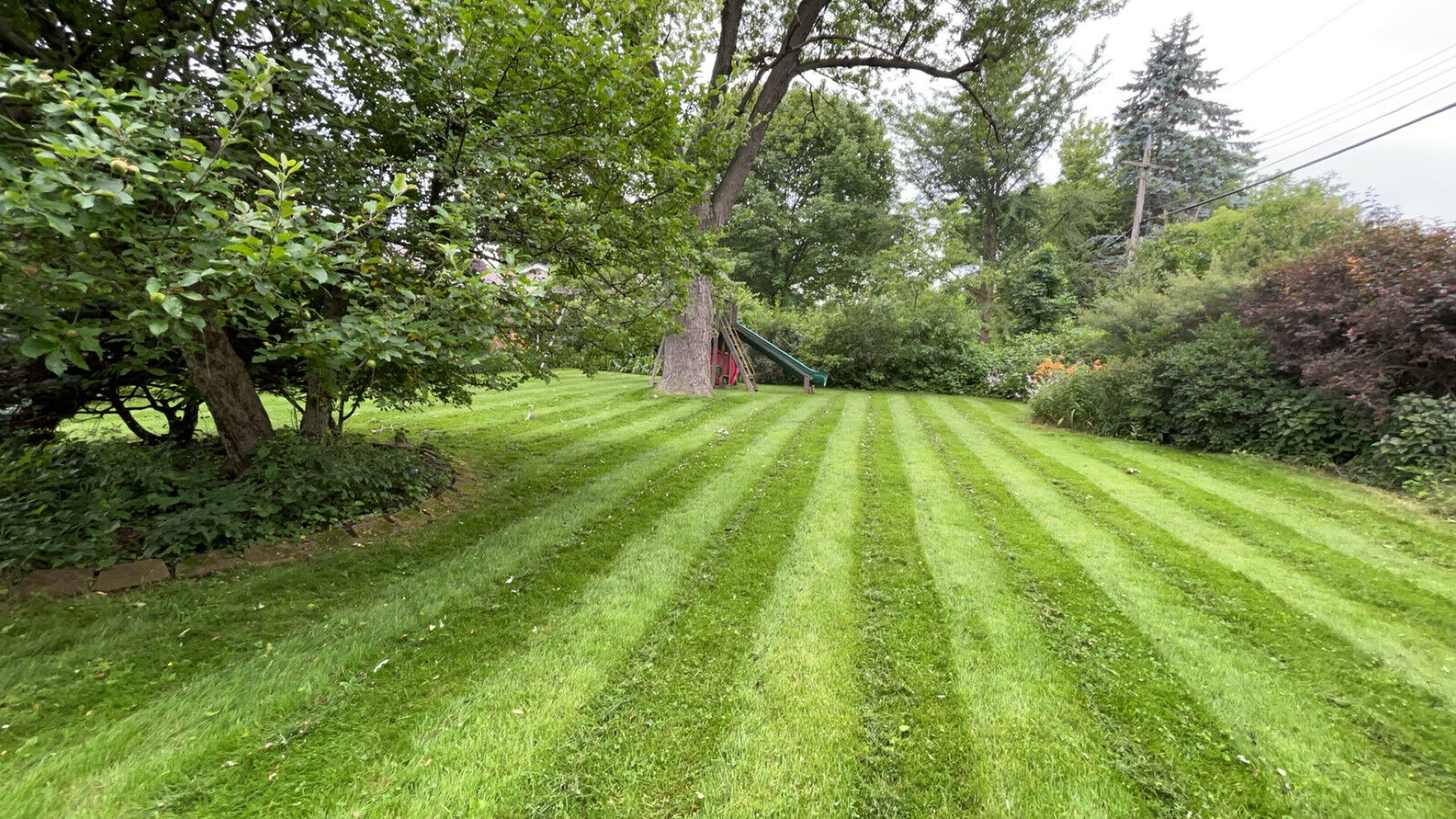 CH Enterprizes junk removal work on a Milwaukee-area property